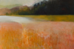 Orange field, Oil on Canvas,120 x 120cm, 2018